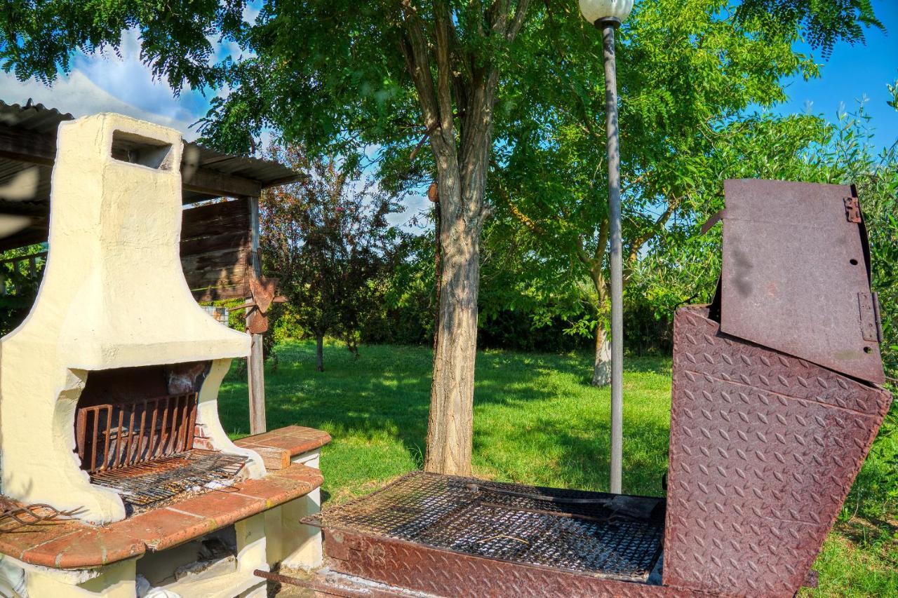 Agriturismo Le Terre Del Casale アッシジ エクステリア 写真